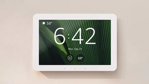 Amazon Echo Hub mounted on a warm beige wall with a dark-green leaf display